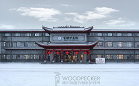 大庆市百湖中医院